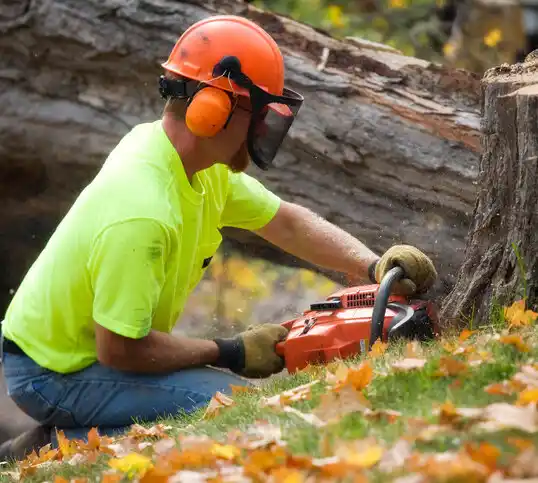 tree services Wurtsboro